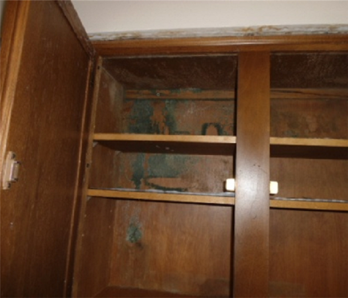 Evidence of mold in cabinets
